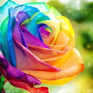 Meet your Posher, Emn